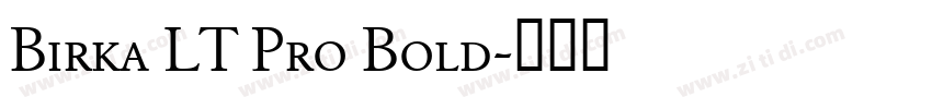 Birka LT Pro Bold字体转换